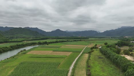 aerial drone shot river passing through a crop field in vietnam