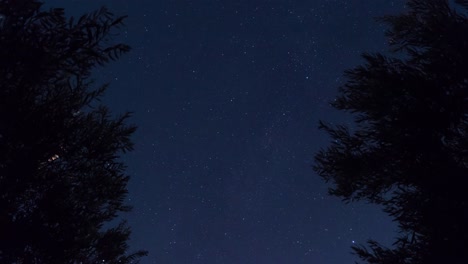 olivos en timelapse nocturno