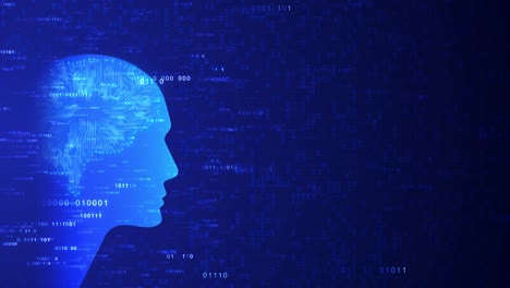 animated visualization digital head filled by neural circuits by streaming binary code use of