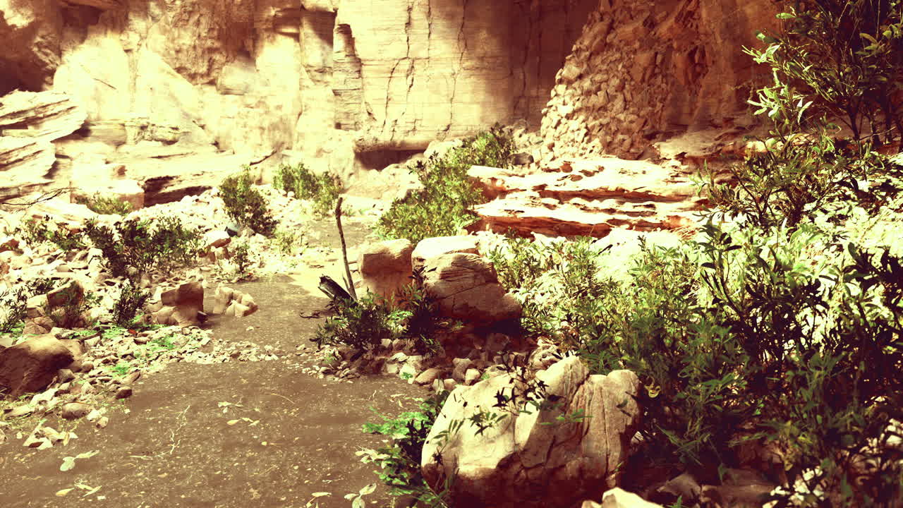 Vibrant natural landscape in a rocky canyon with flowing water