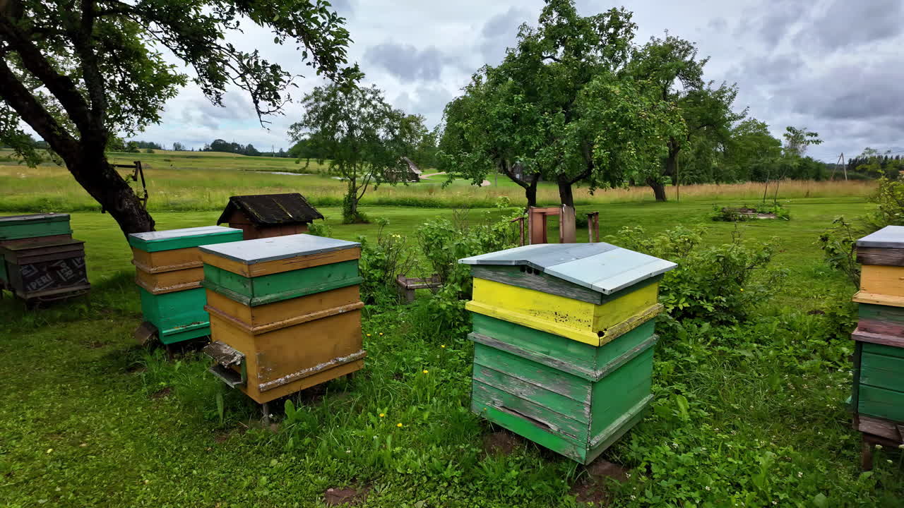 Beehives in a peaceful countryside garden