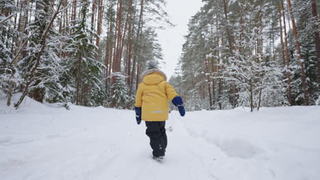 little boy is walking in snowy forest in winter vacation rear view of toddler going over snow path