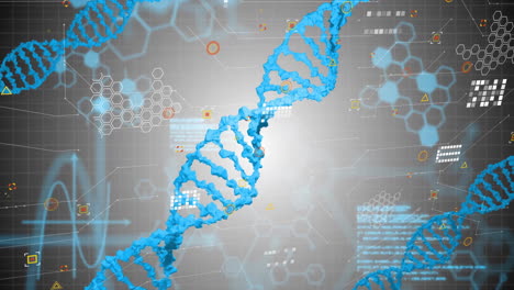 dna strand and scientific data processing animation over hexagonal grid background