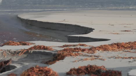 Der-Sandstrand-Ist-Mit-Unkraut-Und-Seetang-Bedeckt,-Der-Von-Der-Flut-Mitgebracht-Wurde