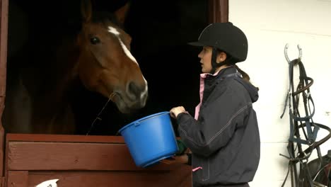 woman feeding horse in stable