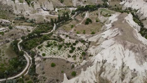 dron sobre el valle del amor: chimeneas de hadas y vegetación, principalmente viñedos, paisajes típicos para ver en la región de capadocia de turquía