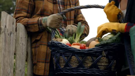 Basket of vegetables