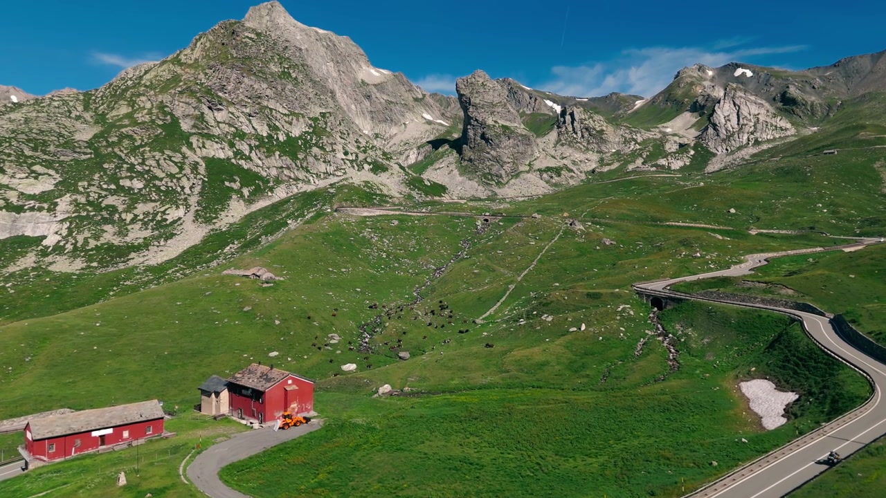 Vista aerea di mucche svizzere al pascolo su verdi pendii alpini vicino a una strada di montagna e a delle baite.