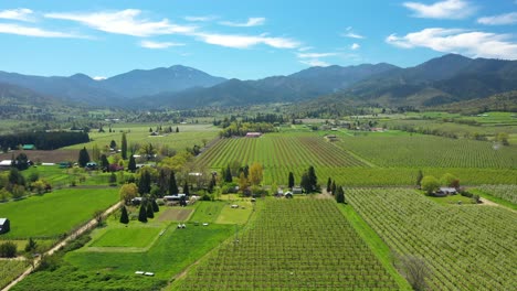 aerial view of valley filled with fruit orchards, southern oregon