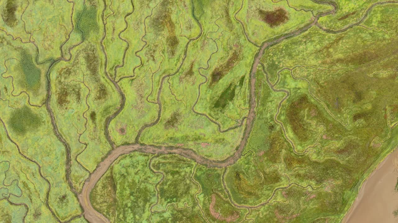 Sobrevoo de drone dos sapais de Saeftinghe, paisagem de marés da Zelândia e vaza