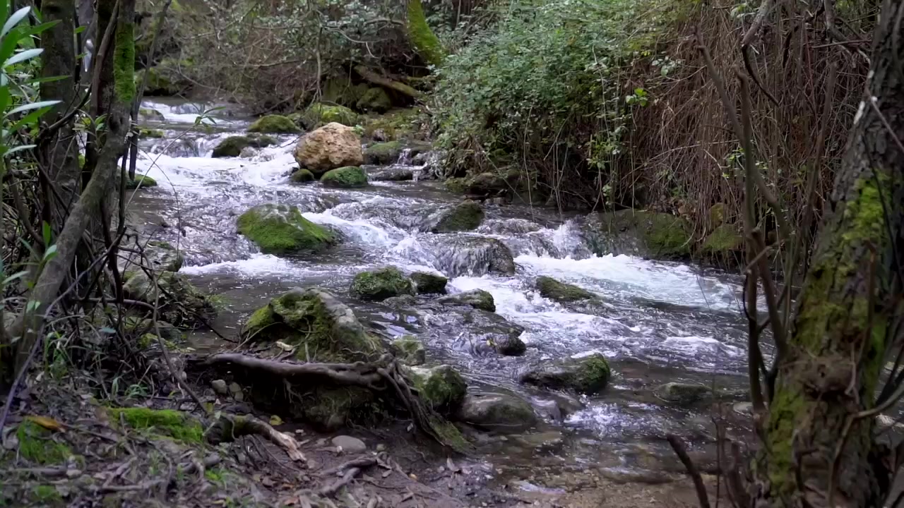 Přírodní krajina s řekou a vodopádem tekoucím mezi skalami, obklopená stromy, větvemi a zelenými rostlinami