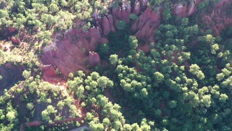 red cliffs canyon ochre of roussillon with pine tress aerial top shot sunny day