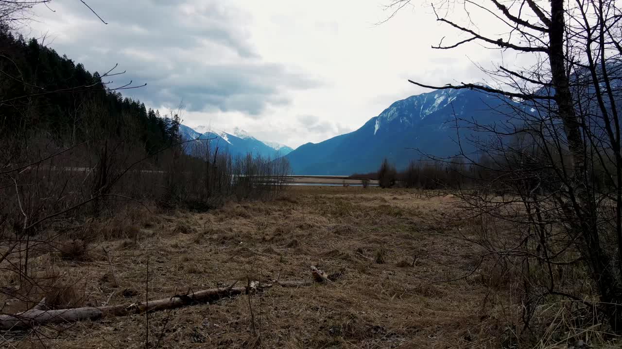 Slow move through trees at Lillooet Lake in British Columbia, Canada
