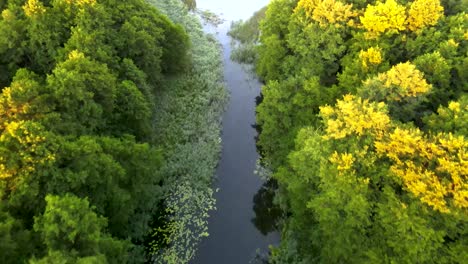 Luftaufnahme-über-Den-Nebligen-Fluss-Endete-Im-Morgengrauen-Im-See