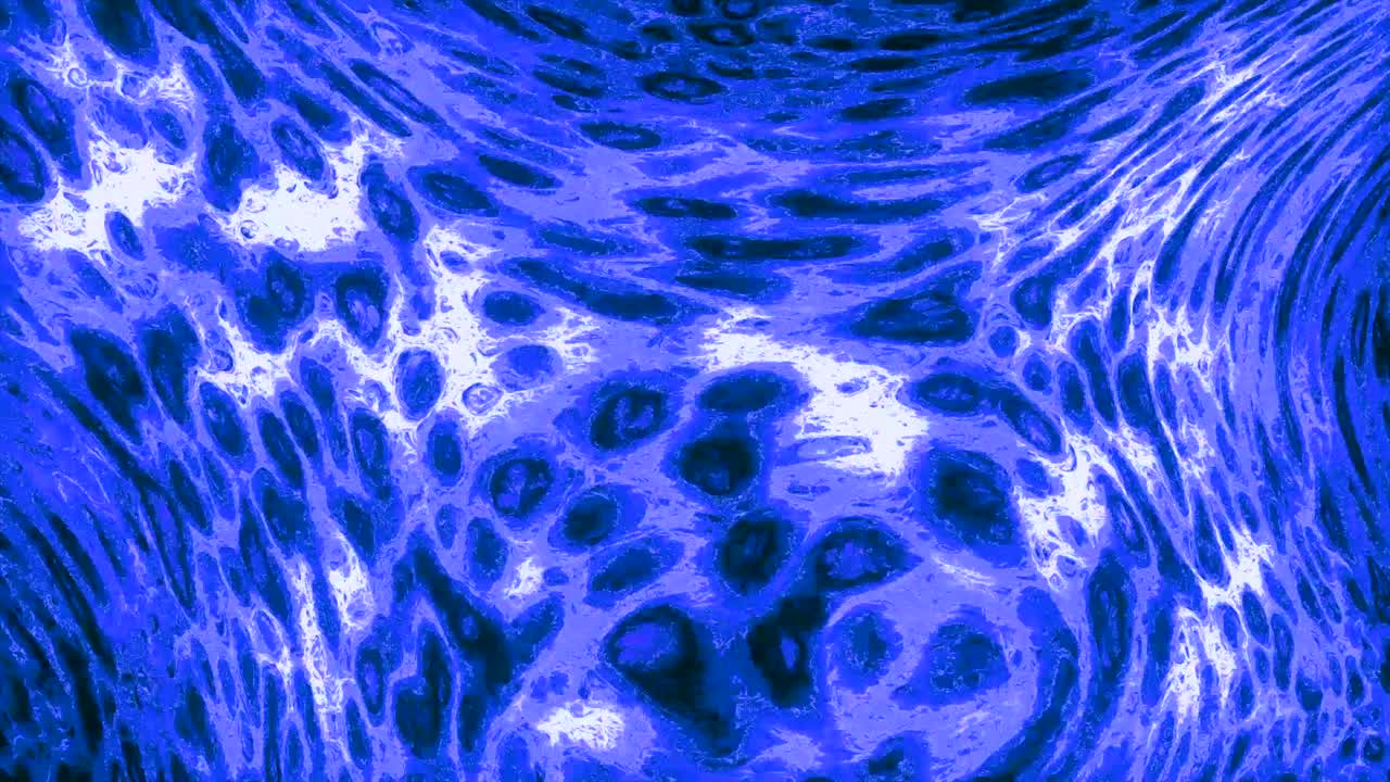 Arte fluida astratta in blu e bianco