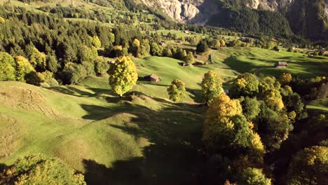 aerial-drone-footage-pushing-in-over-alpine-meadows-in-swiss-alps,-fall-colors