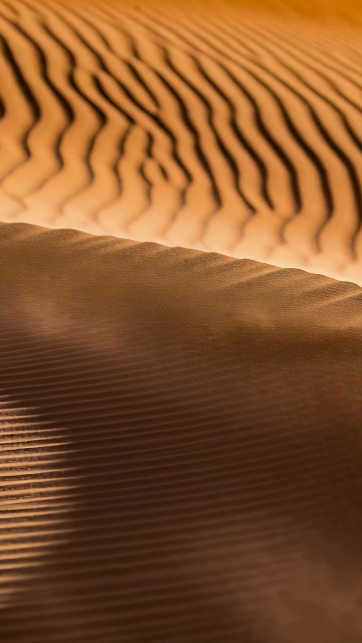 Video verticale: Velo di sabbia mosso dal vento che attraversa la cresta di una duna illuminata dal sole nel deserto, con increspature.