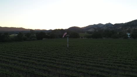 pull-away shot of an American flag during sunset in a napa valley vineyard