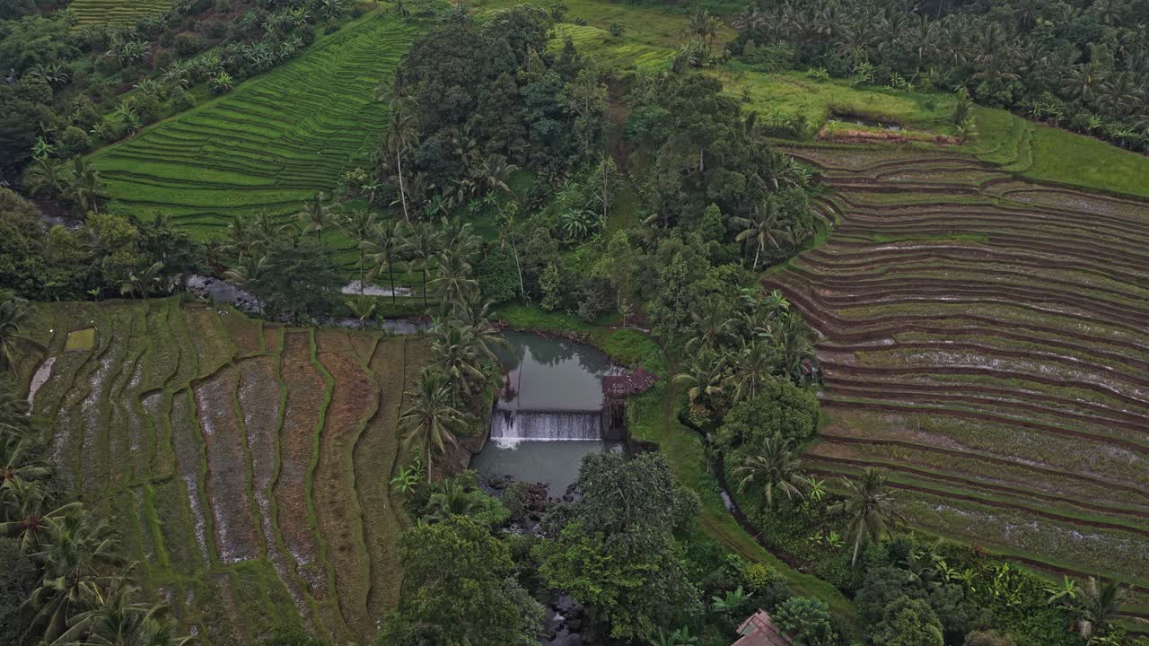 Luftaufnahme von balinesischen Reisfeldern und dem Subak-Bewässerungssystem