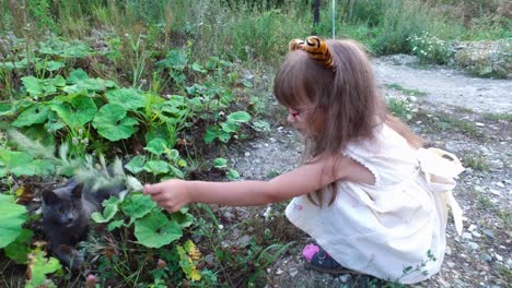 girl child in glasses plays with a gray kitten in the yard. a little girl likes to play with the kitten.