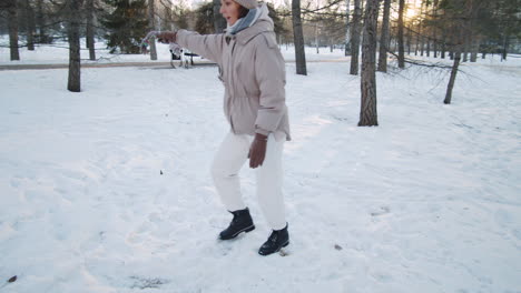 woman and golden retriever playing in a snowy park