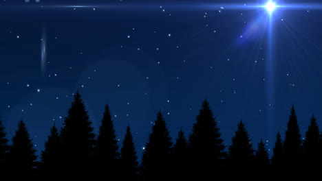 Animation-of-white-stars-shining-in-night-sky-and-forest