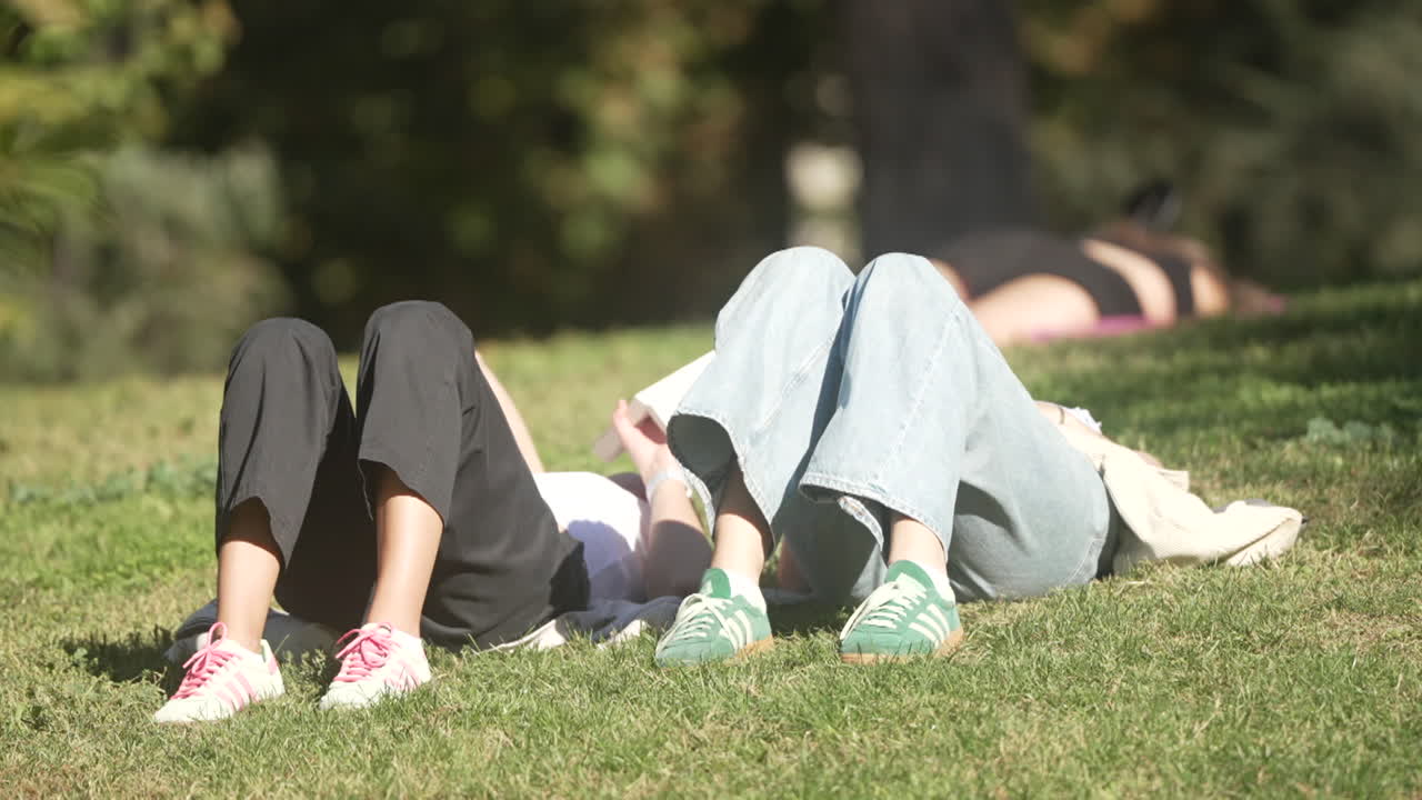 공원에서 휴식을 취하는 사람들