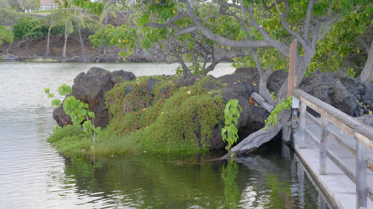 Beautiful Light Ocean View Walk to Auberge Hotel at Mauna Lani Ponds Hawaii Sunset
