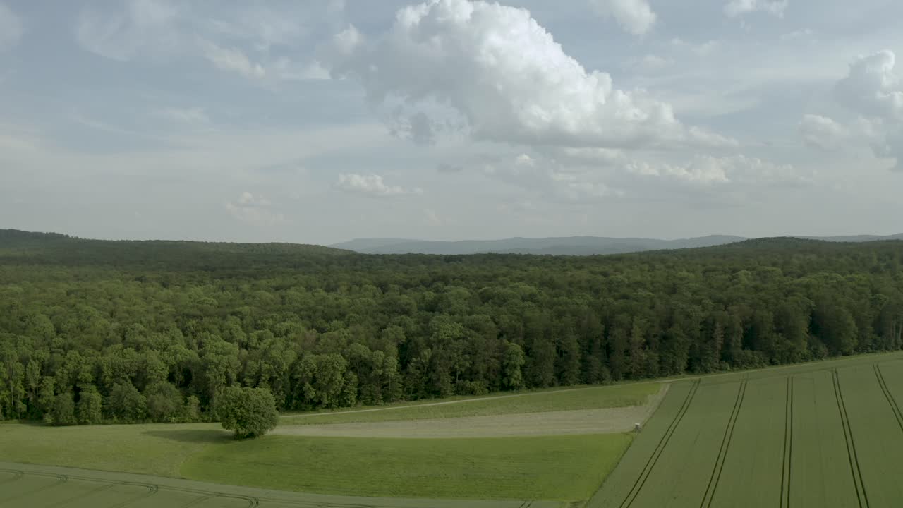 무인 항공기에 의해 포착 된 배경에 나무가있는 아름다운 녹색 독일 농지
