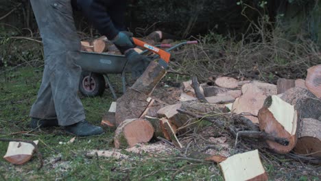 Man tackling chopping logs in nature