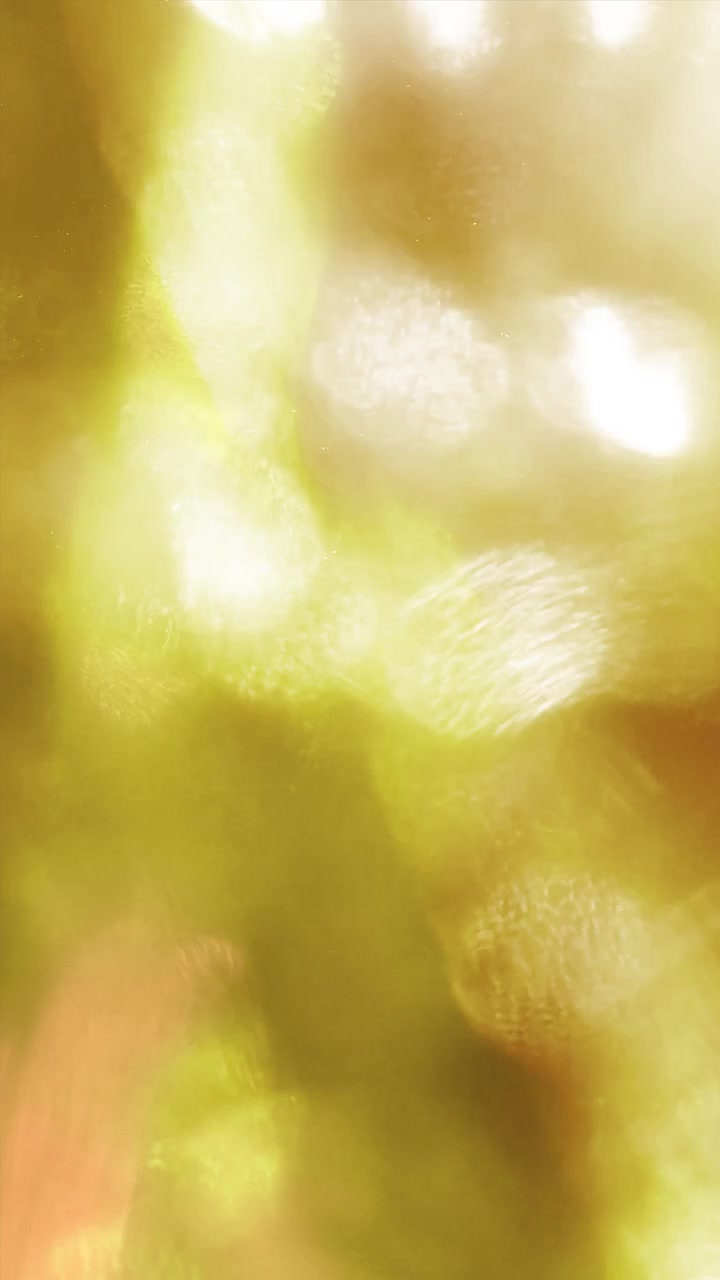 Abstract Light Leaks and Bokeh Transitions