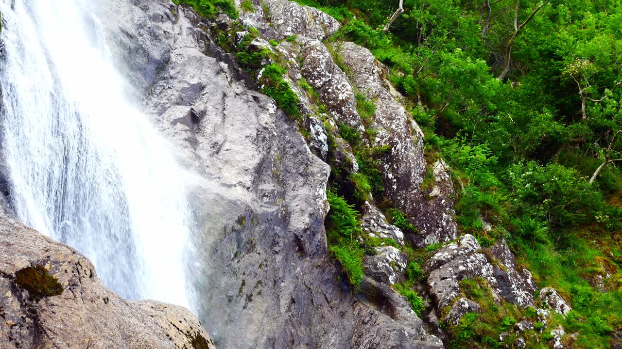 cascada del valle de la montaña rocosa que fluye en el primer plano del desierto del follaje del bosque relajante