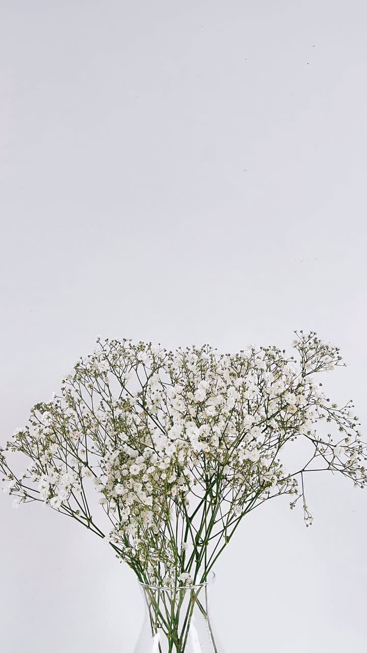 White Flowers in Vase