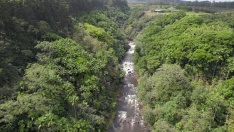 Vista-De-ángulo-Alto-Del-Arroyo-Con-Rápidos-Que-Fluyen-A-Través-Del-Bosque-Tropical-Salvaje