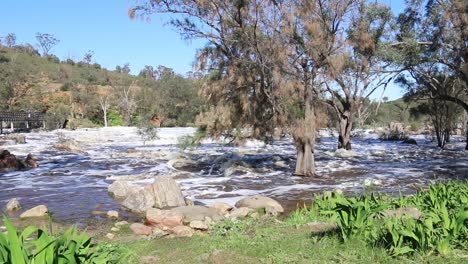 Swan-River-At-Bells-Rapids,-Fast-Flowing-Water---Panning-Left-Shot