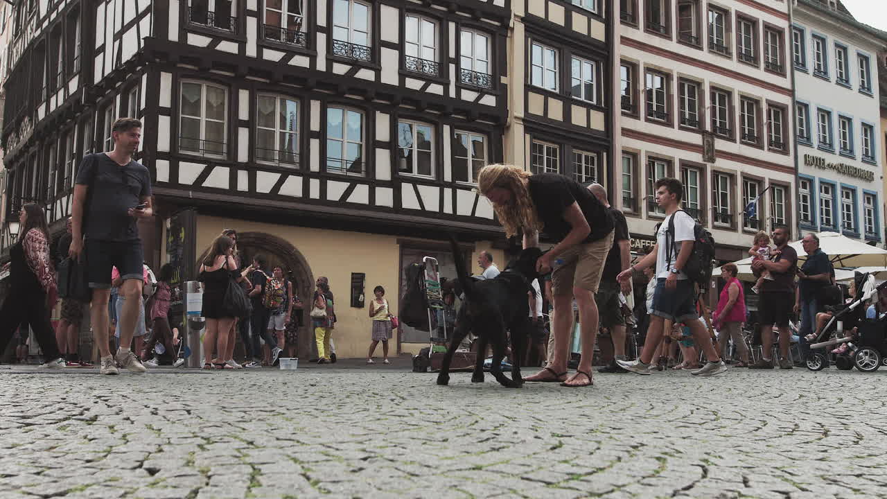 France strasbourg in the center of the ancient city a dog brings water to the owner