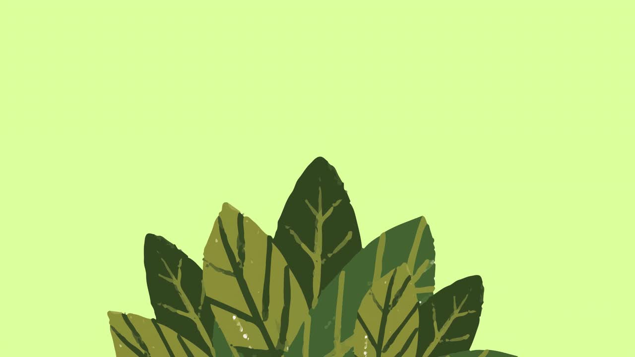 Animation of green leaves on green background