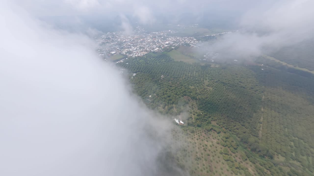 fpv 드론: tancitaro에서 비가 내린 후 포장 가게와 함께 구름에서 아보카도 농장