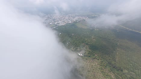 drone fpv: granjas de aguacates desde las nubes con una casa de embalaje después de una lluvia en tancitaro
