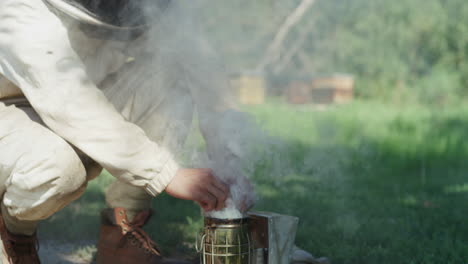 without bees, there would be no more cocoa