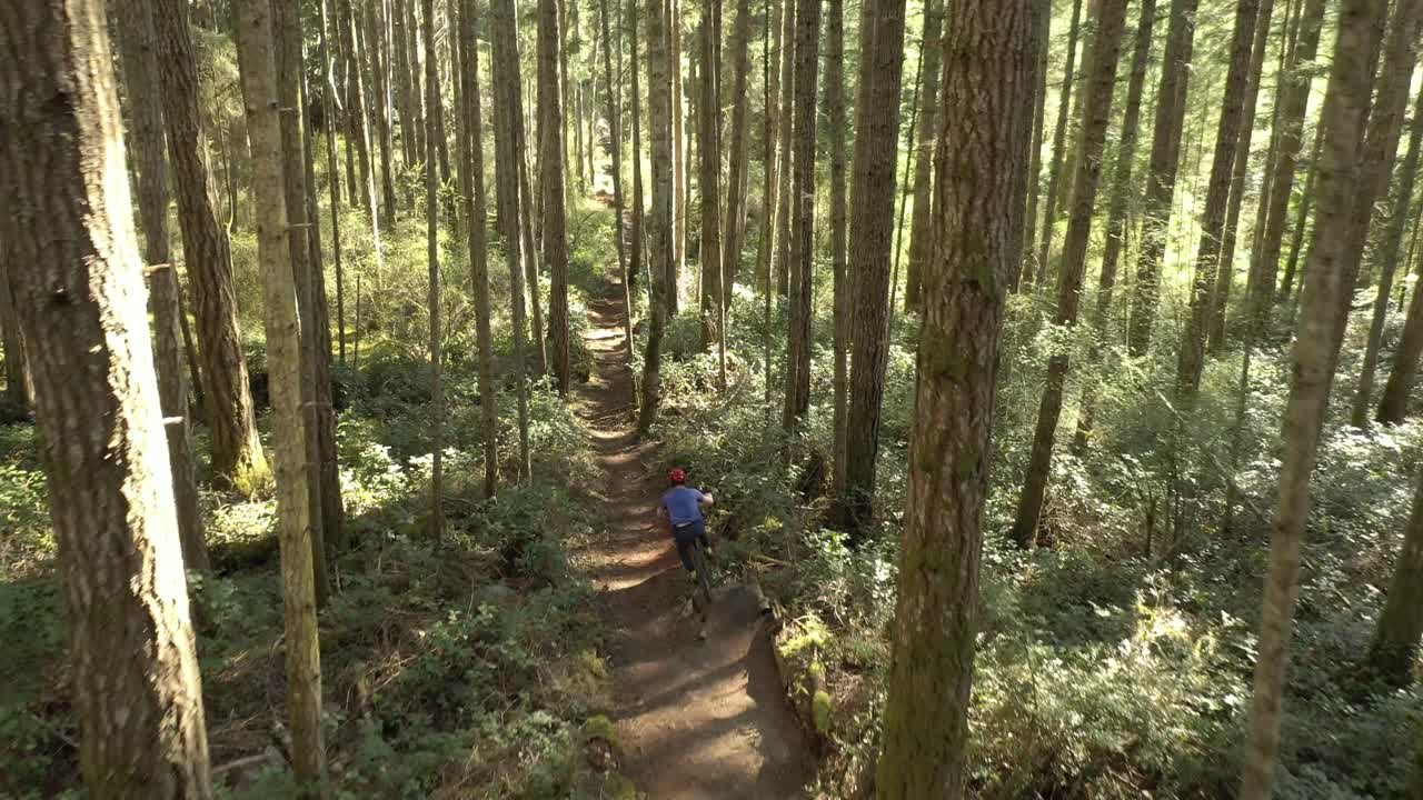 video de drones de un ciclista de montaña recorriendo senderos de tierra a través de los exuberantes bosques del noroeste pacífico en su bicicleta, costa del sol, columbia británica, canadá