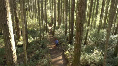 Video-De-Drones-De-Un-Ciclista-De-Montaña-Recorriendo-Senderos-De-Tierra-A-Través-De-Los-Exuberantes-Bosques-Del-Noroeste-Pacífico-En-Su-Bicicleta,-Costa-Del-Sol,-Columbia-Británica,-Canadá