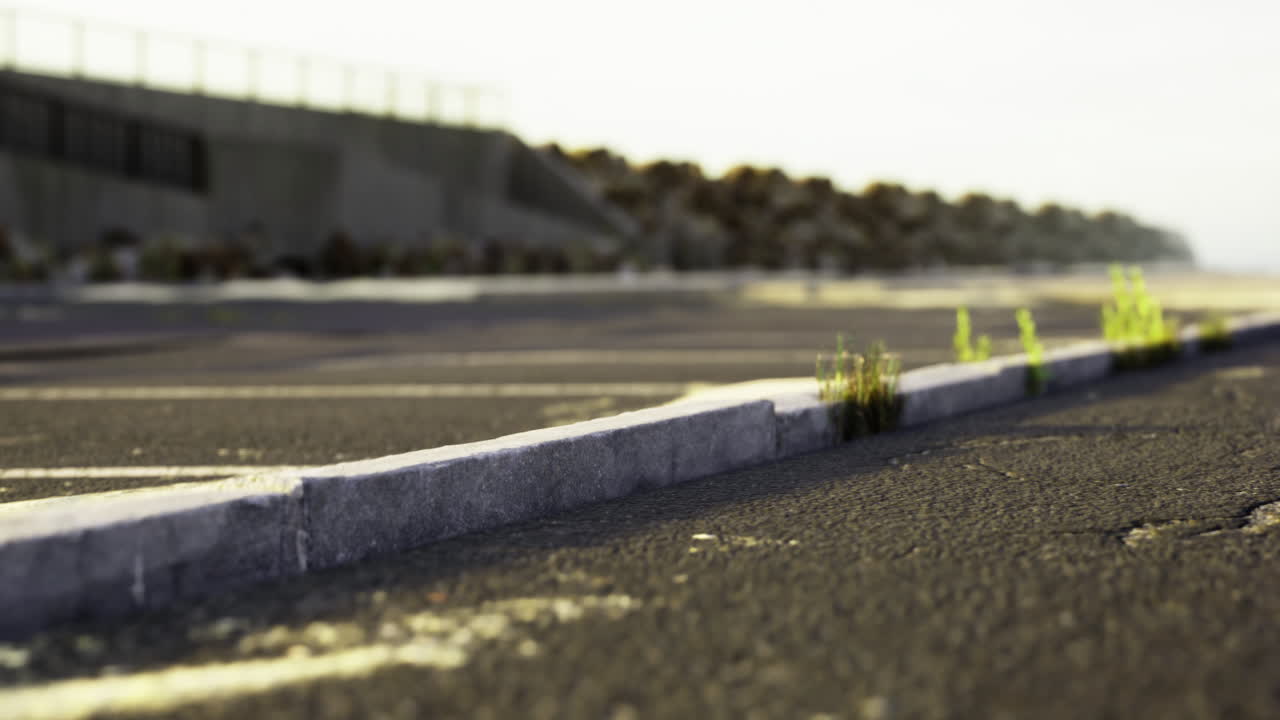 City parking lot with cracked asphalt and overgrown plants near the shore