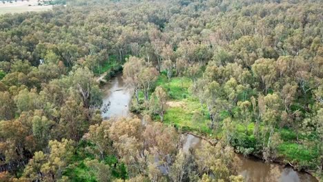 Aerial-view-over-the-Ovens-River-at-Peechelba,-where-it-enters-the-River-Murray,-in-north-east-Victoria,-Australia-November-2021