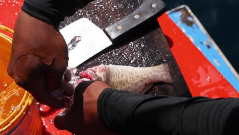 preparación de pescado en un barco de pesca