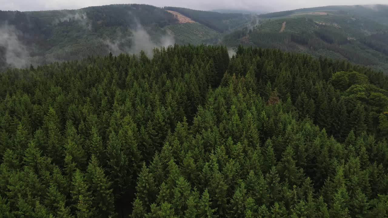 Аэросъемка горного лесного пейзажа