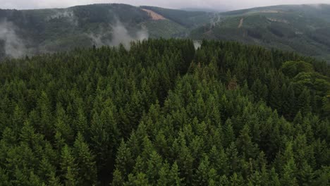 Mountain-forest-landscape-aerial-flight