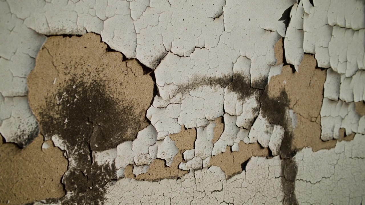 Moving camera revealing painted wall in neglected room, showing peeling paint and water stains