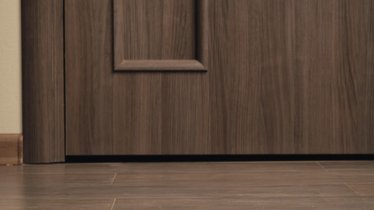 Food and goods delivery box, contactless online shopping, volunteer courier delivers parcel a to door of home, door to door deliver, e-commerce purchase.