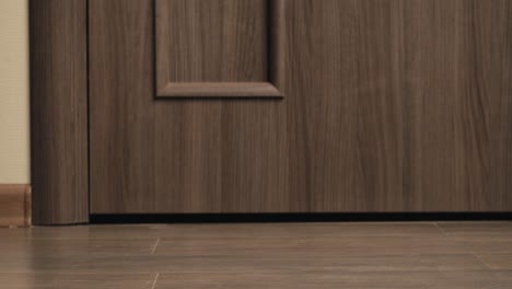 food and goods delivery box, contactless online shopping, volunteer courier delivers parcel a to door of home, door to door deliver, e-commerce purchase.